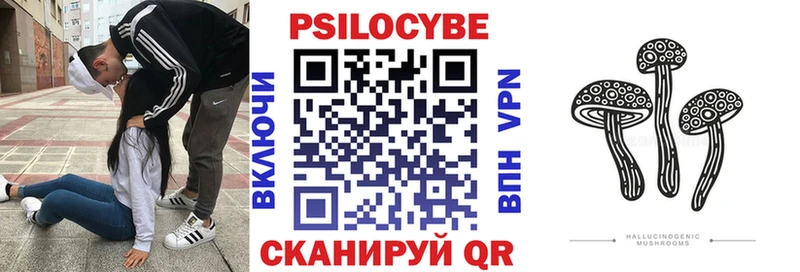 Галлюциногенные грибы мицелий  Купить закладки  Саранск 