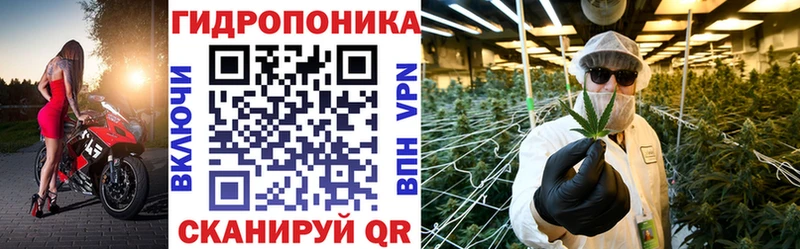 Купить где  Саранск  Конопля SATIVA & INDICA 